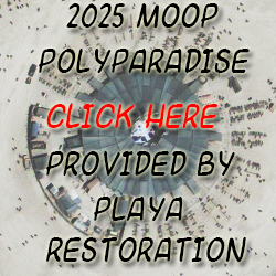 MOOP 2025 - PolyParadise